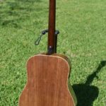Black walnut